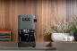 Preview: Gaggia Classic Evo grew RI9481/16